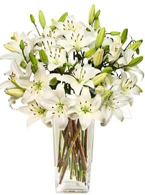 White Lily Bouquet – birthday bouquet, flower delivery across Europe