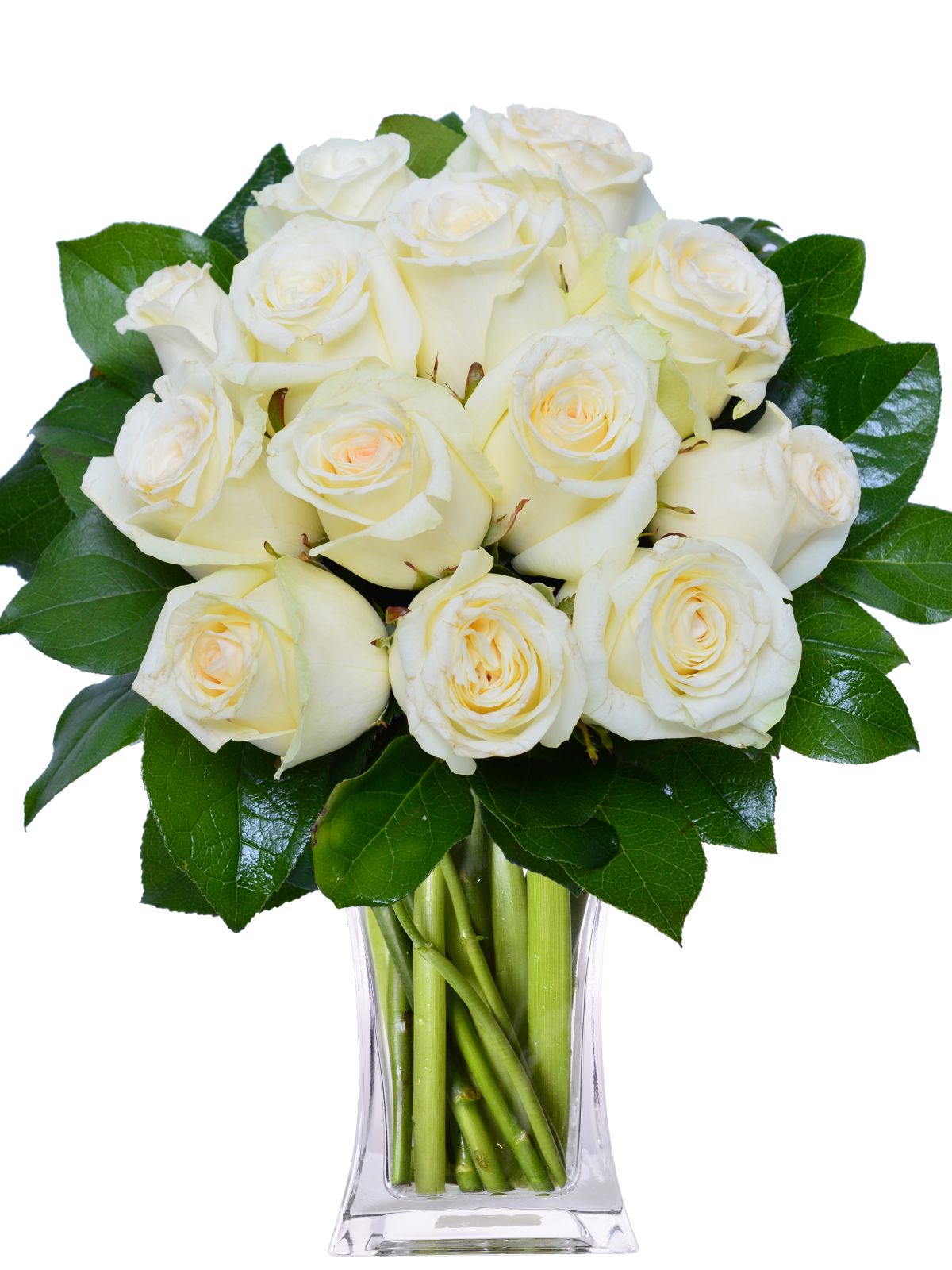 White Rose Bouquet – apology bouquet, flower delivery across Europe